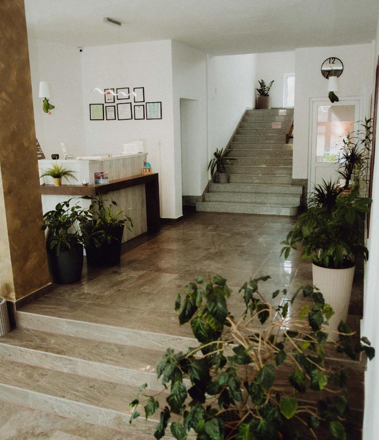 Vila Ursul Negru Совата Екстер'єр фото