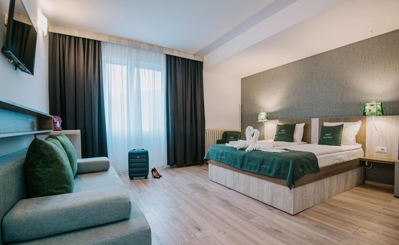 Vila Ursul Negru Совата Екстер'єр фото