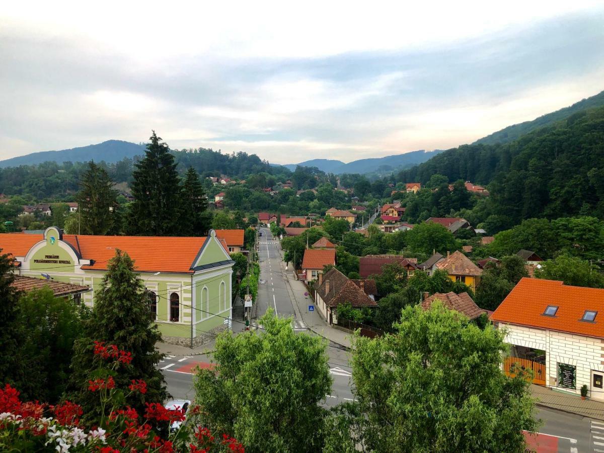 Vila Ursul Negru Совата Екстер'єр фото